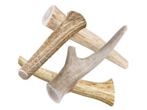 Dried Treats Pet Treats -- Deer Antlers